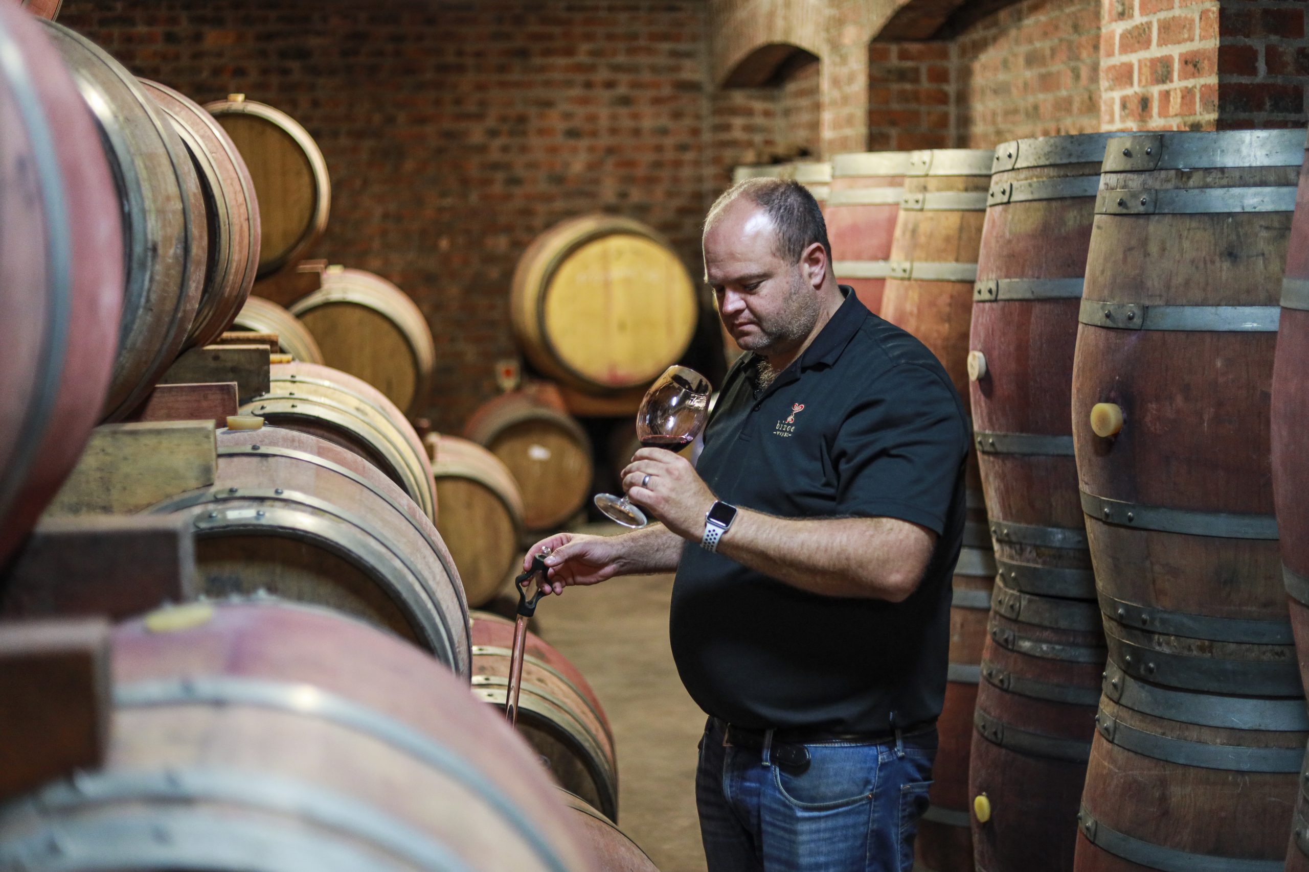 Bizoe Wines