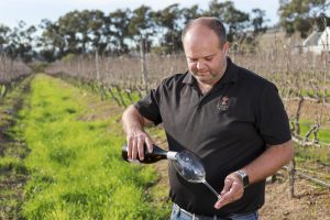 Rikus in the vineyards