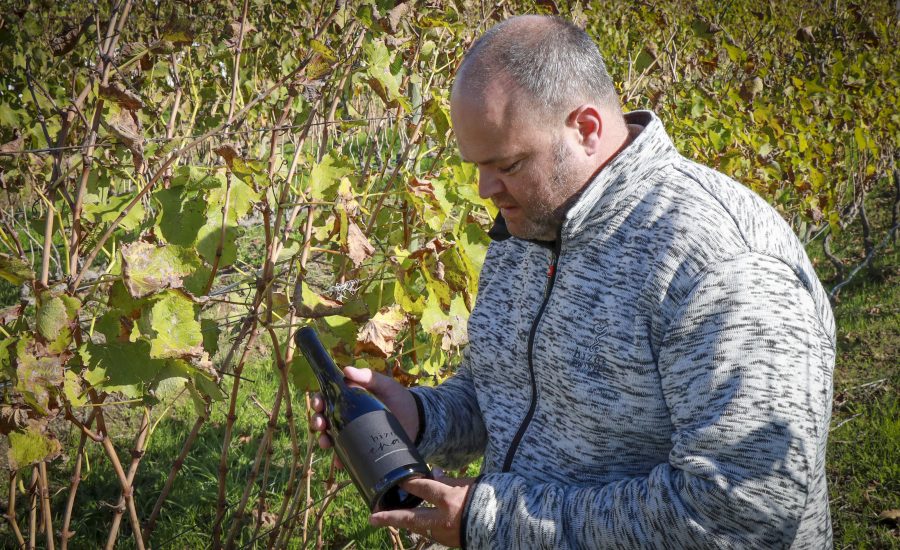 Rikus in the Vineyards