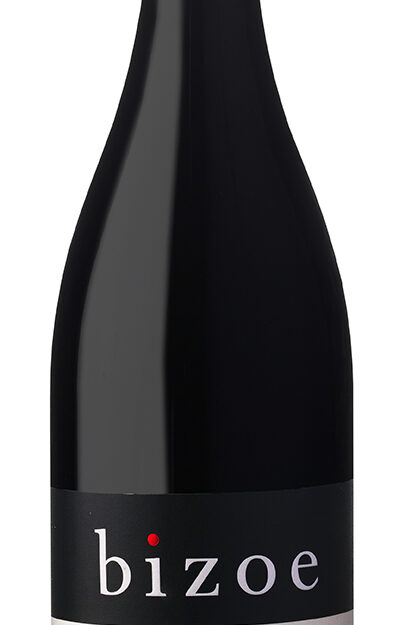 Bizoe Estalét Syrah 2024