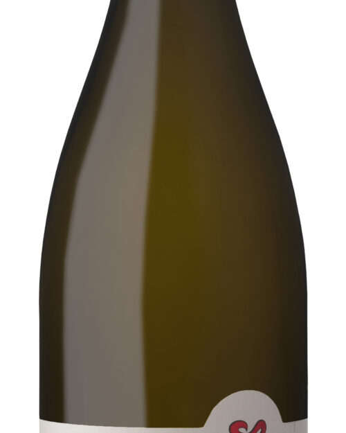 Bizoe Henriëtta 2025